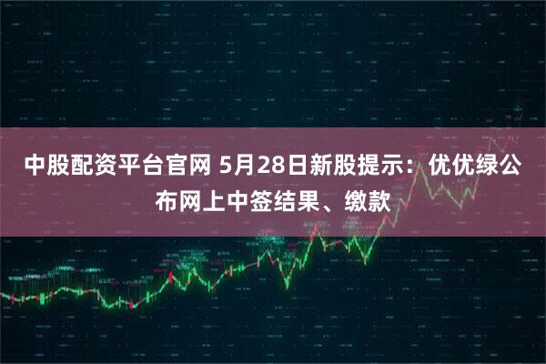 中股配资平台官网 5月28日新股提示：优优绿公布网上中签结果、缴款