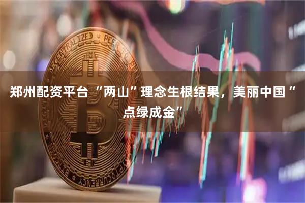 郑州配资平台 “两山”理念生根结果，美丽中国“点绿成金”